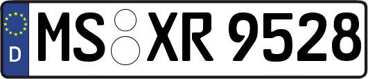 MS-XR9528