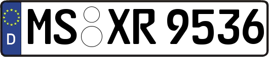 MS-XR9536