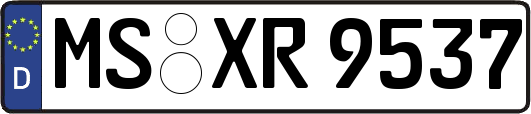 MS-XR9537
