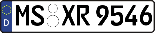 MS-XR9546