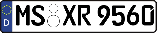 MS-XR9560