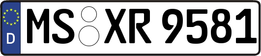 MS-XR9581
