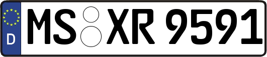 MS-XR9591