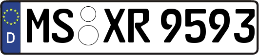 MS-XR9593