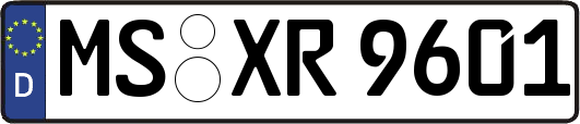 MS-XR9601