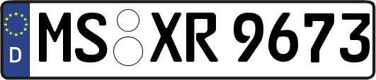 MS-XR9673
