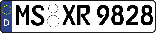 MS-XR9828
