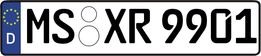 MS-XR9901