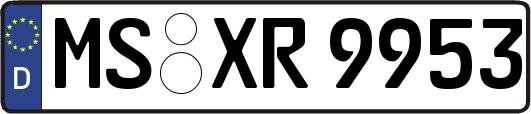 MS-XR9953