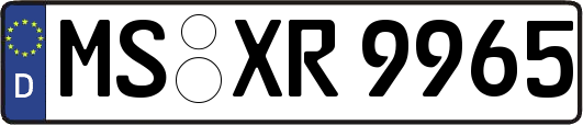 MS-XR9965