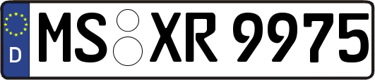 MS-XR9975