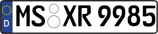 MS-XR9985