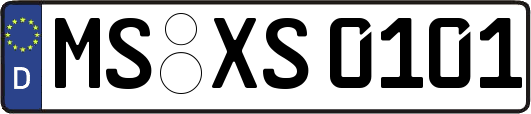 MS-XS0101