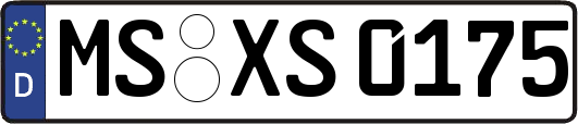 MS-XS0175