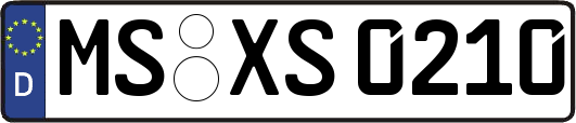 MS-XS0210
