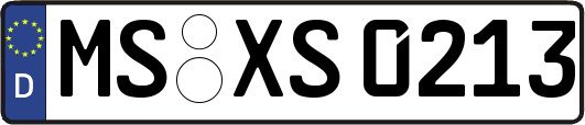 MS-XS0213