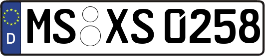 MS-XS0258