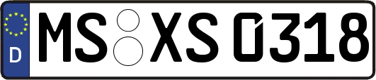 MS-XS0318