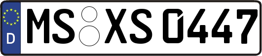 MS-XS0447