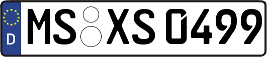 MS-XS0499