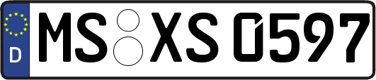 MS-XS0597