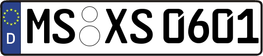 MS-XS0601