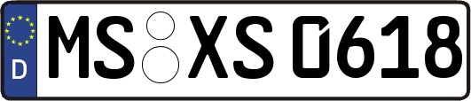 MS-XS0618