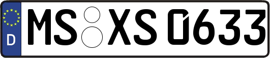 MS-XS0633