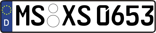 MS-XS0653