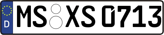 MS-XS0713