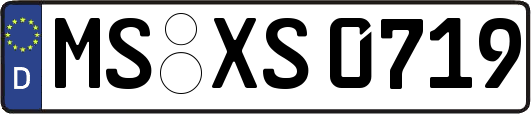 MS-XS0719