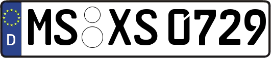 MS-XS0729