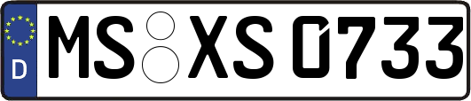 MS-XS0733