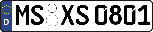 MS-XS0801