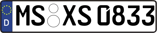 MS-XS0833