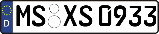 MS-XS0933