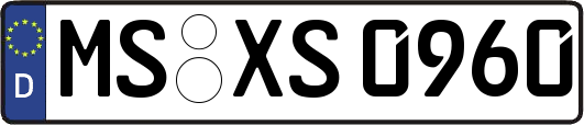 MS-XS0960