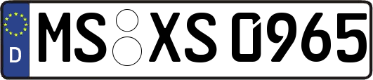 MS-XS0965