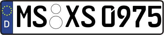 MS-XS0975