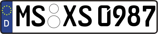 MS-XS0987