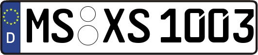 MS-XS1003