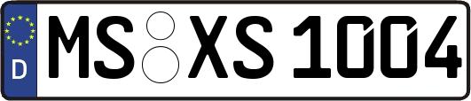 MS-XS1004