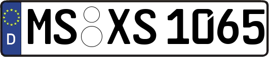 MS-XS1065