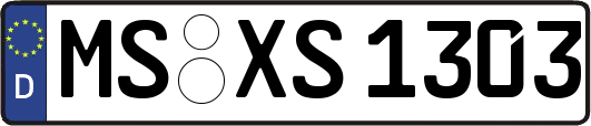 MS-XS1303