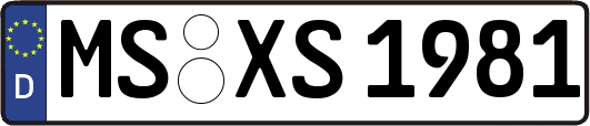 MS-XS1981