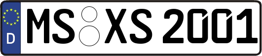 MS-XS2001