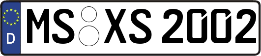 MS-XS2002