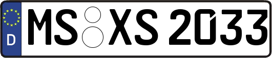 MS-XS2033