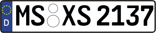 MS-XS2137