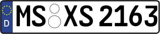 MS-XS2163